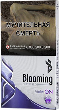 Blooming Violet ON